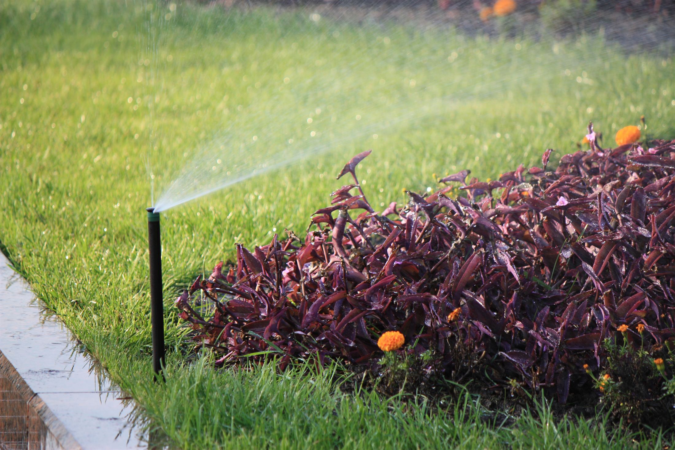 Парк Ленінського Комсомолу, фото 58